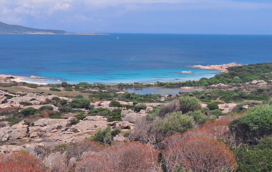 Stintino – La Pelosa - Asinara